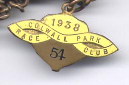 Collwall Park 1938.JPG (7099 bytes)