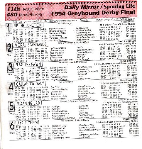 Derby final 1994.JPG (94285 bytes)