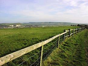 Lewes racecourse.JPG (16314 bytes)