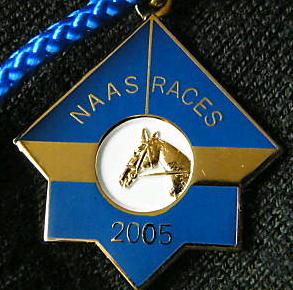 Naas 2005.JPG (22418 bytes)