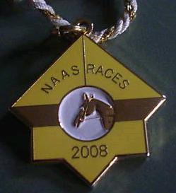 Naas 2008.JPG (10927 bytes)
