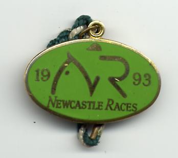 Newcastle 1993.JPG (10445 bytes)
