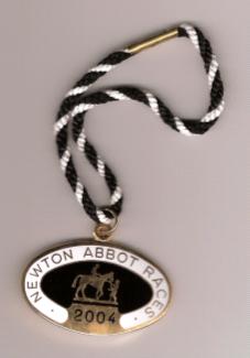 Newton Abbot 2004.JPG (8724 bytes)