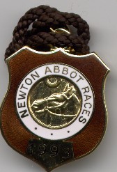 Newton Abbot 1993.JPG (17249 bytes)