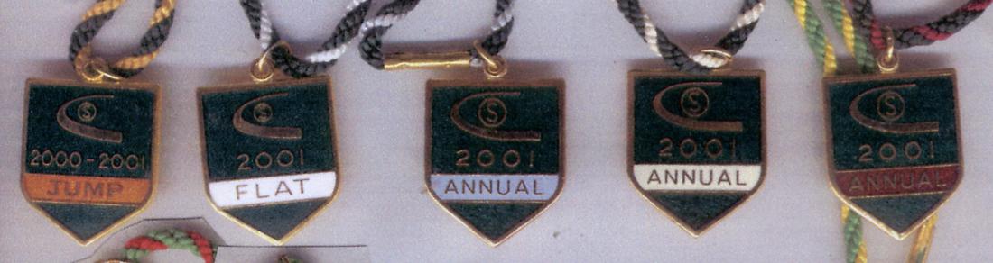 Sandown 2001a.JPG (50347 bytes)