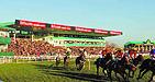 Uttoxeter racecourse.JPG (4476 bytes)