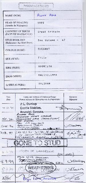 aunt ada 2.JPG (53821 bytes)