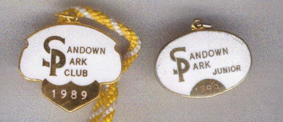 sandown 1989a.JPG (35400 bytes)